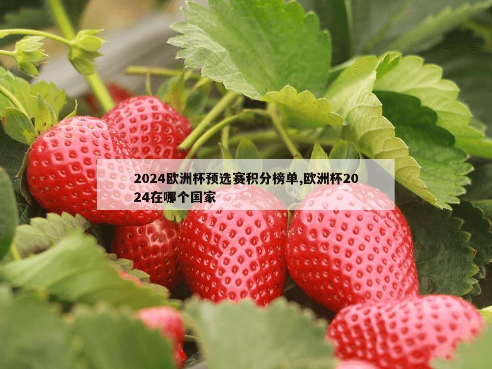 2024欧洲杯预选赛积分榜单,欧洲杯2024在哪个国家