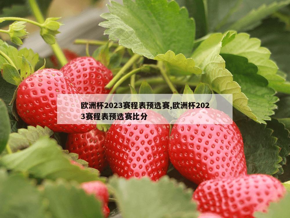 欧洲杯2023赛程表预选赛,欧洲杯2023赛程表预选赛比分