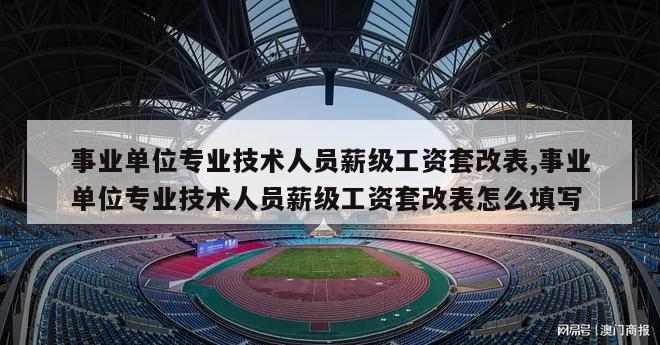 事业单位专业技术人员薪级工资套改表,事业单位专业技术人员薪级工资套改表怎么填写