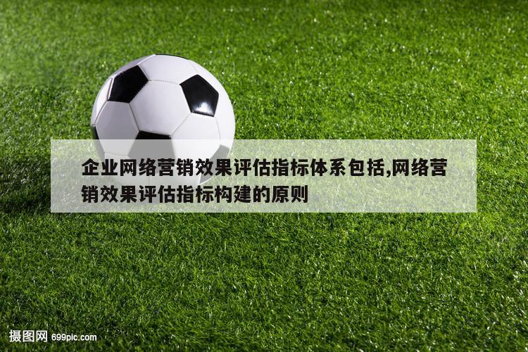 企业网络营销效果评估指标体系包括,网络营销效果评估指标构建的原则