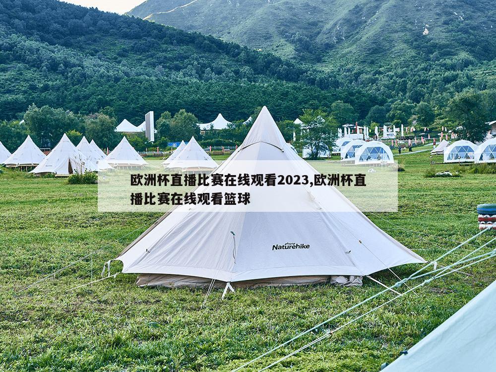 欧洲杯直播比赛在线观看2023,欧洲杯直播比赛在线观看篮球