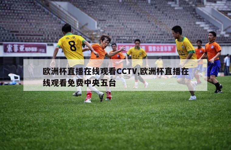 欧洲杯直播在线观看CCTV,欧洲杯直播在线观看免费中央五台