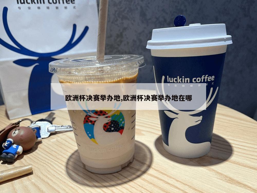 欧洲杯决赛举办地,欧洲杯决赛举办地在哪