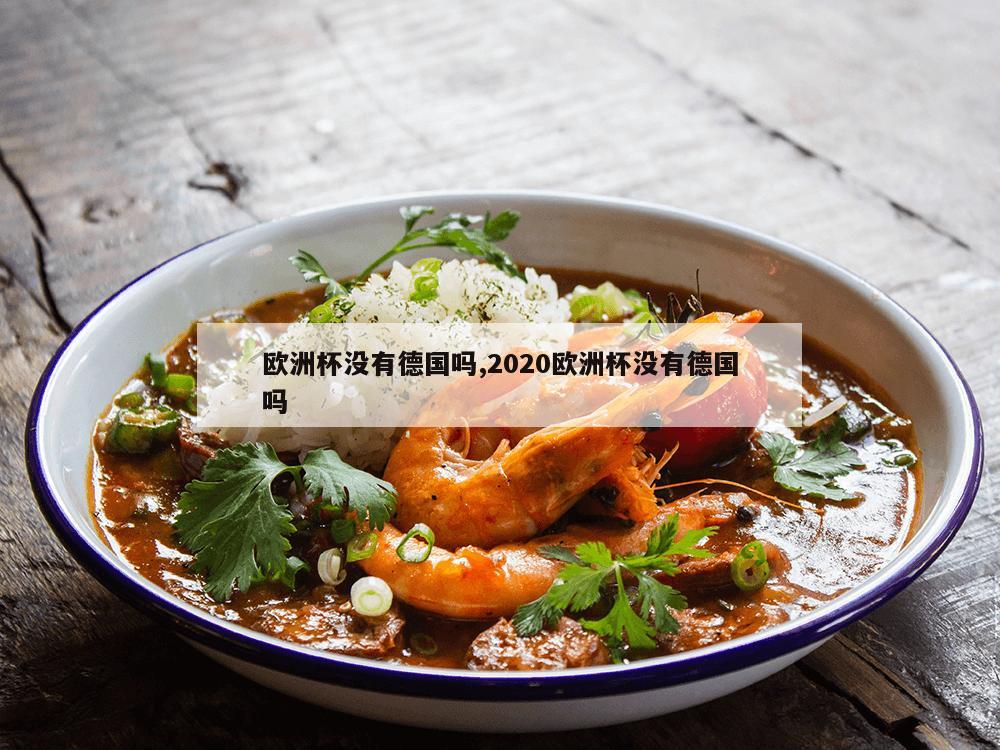 欧洲杯没有德国吗,2020欧洲杯没有德国吗